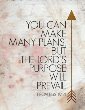 Prov19.21